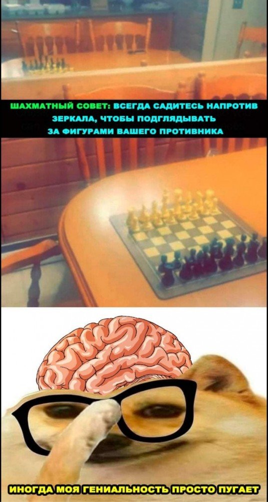 Бредзона