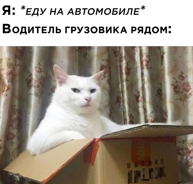 Смешные картинки вечер 21 января 2021