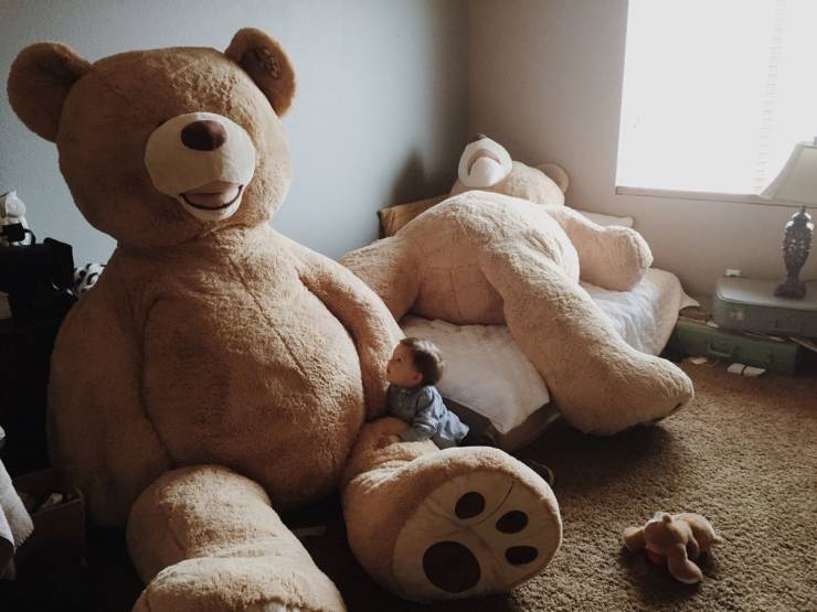 Смешные картинки вечерний выпуск 22 января 2021