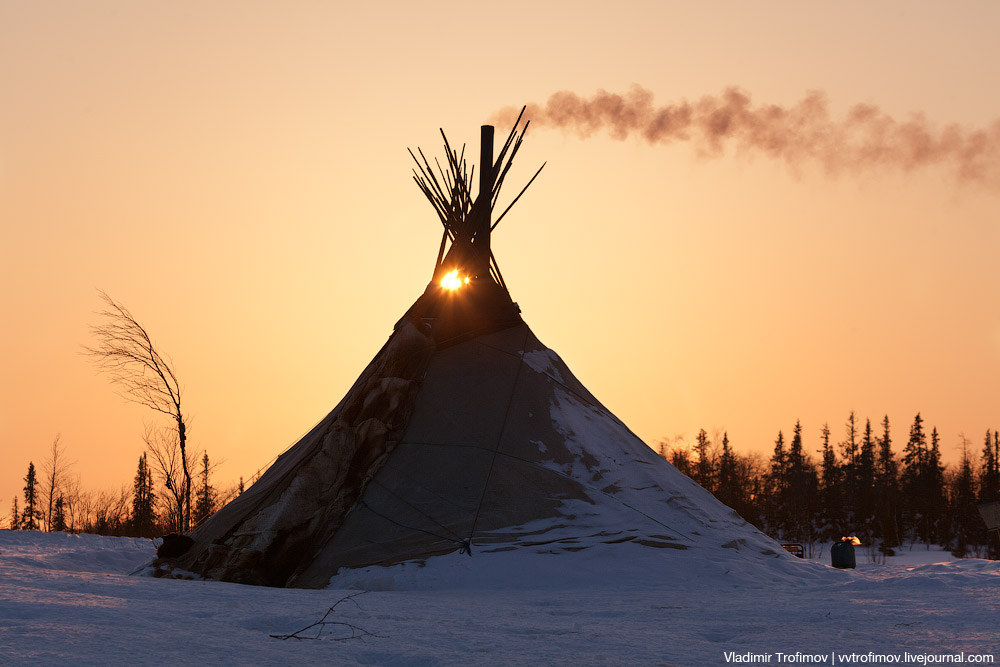 Путешествие по тундре Путешествие по тундре