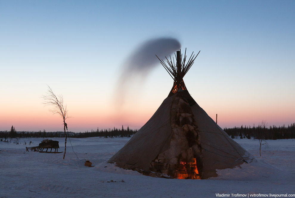 Путешествие по тундре Путешествие по тундре