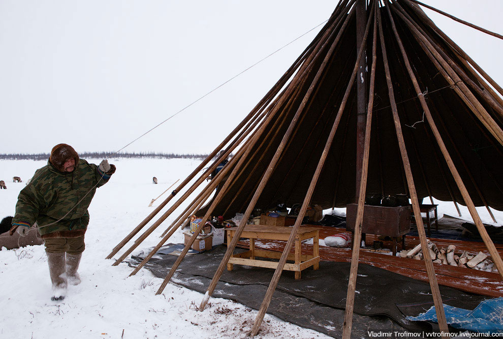 Путешествие по тундре Путешествие по тундре