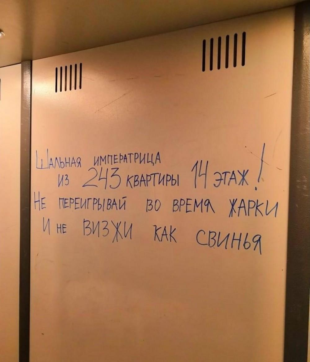 По родным просторам