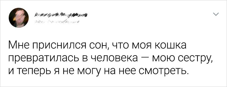 17 твитов о том, что, сочиняя нам сны, мозг куражится по полной