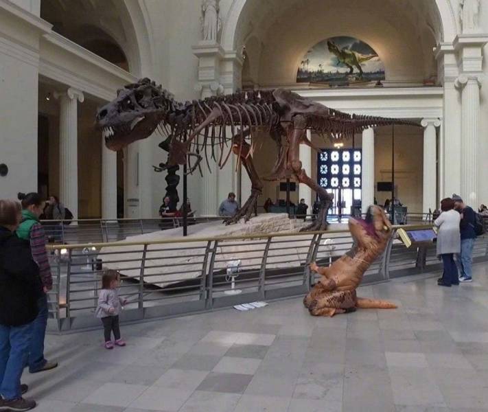 Смешные картинки вечер 26 января 2021