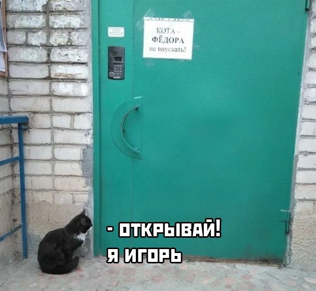 Смешные картинки вечер 26 января 2021