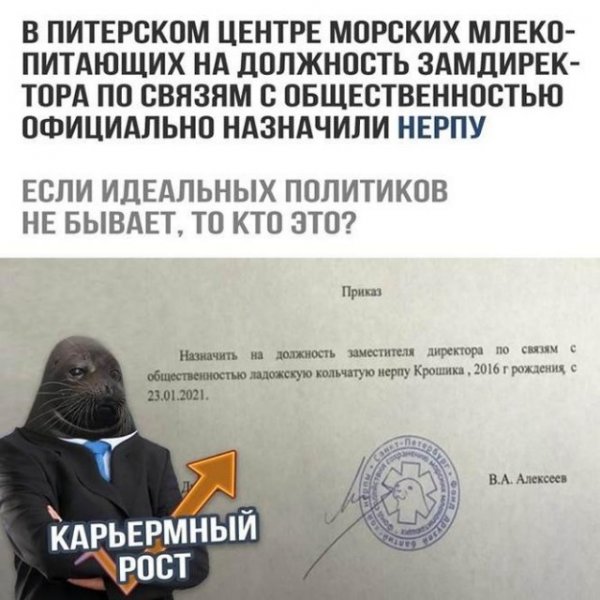 Баянисто-небаянистый юмор