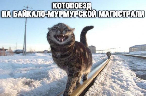 Баянисто-небаянистый юмор