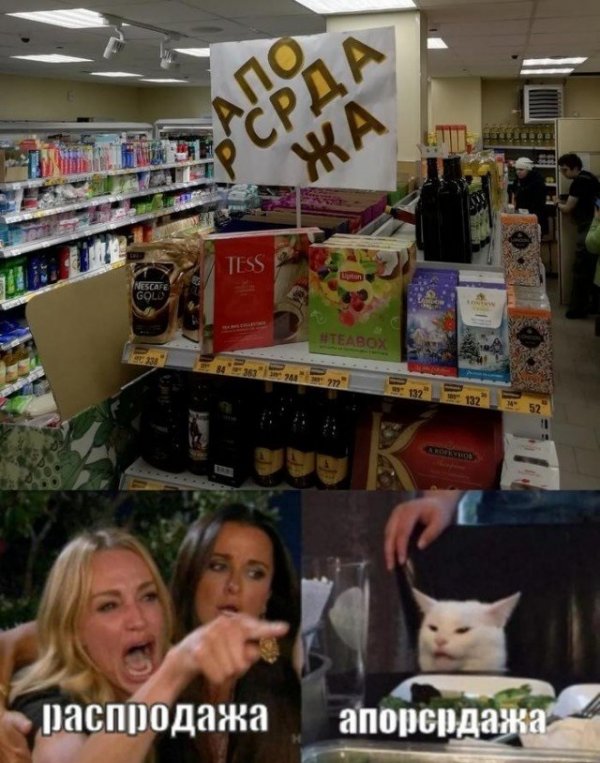 Кота не переубедить