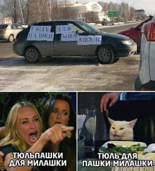 Кота не переубедить