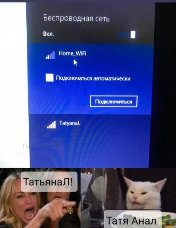 Кота не переубедить