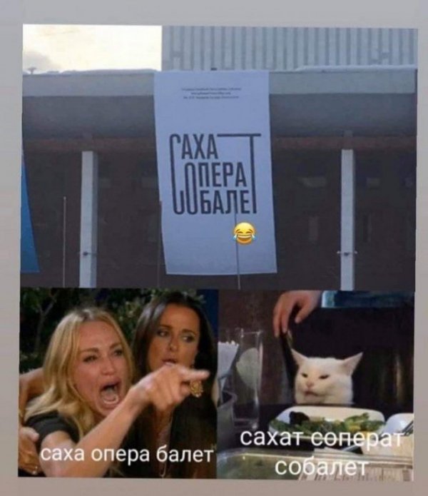 Кота не переубедить