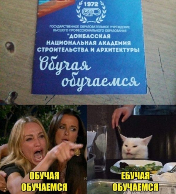 Кота не переубедить