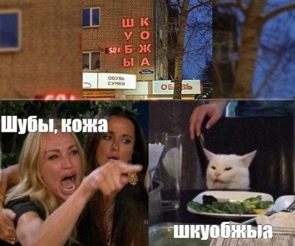 Кота не переубедить