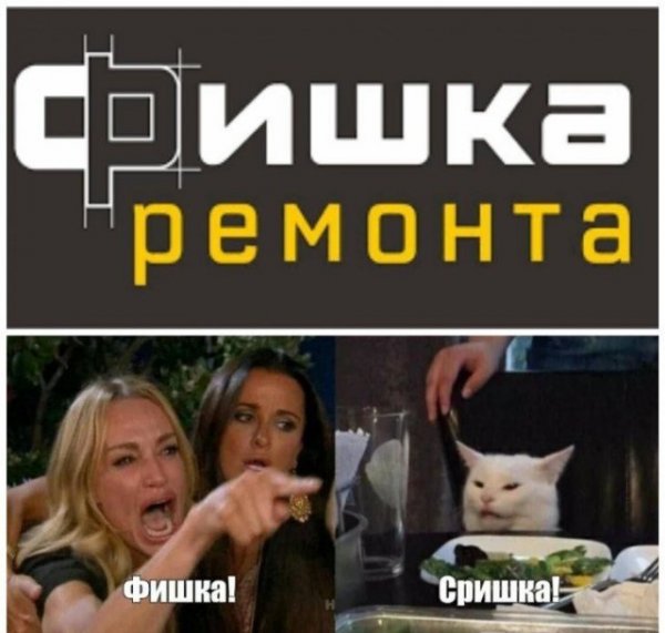 Кота не переубедить