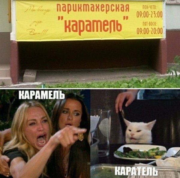Кота не переубедить