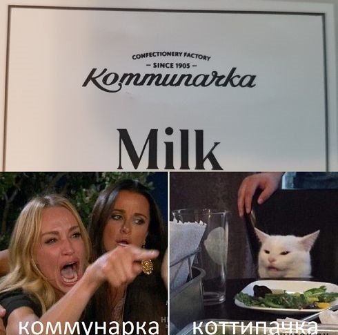 Кота не переубедить