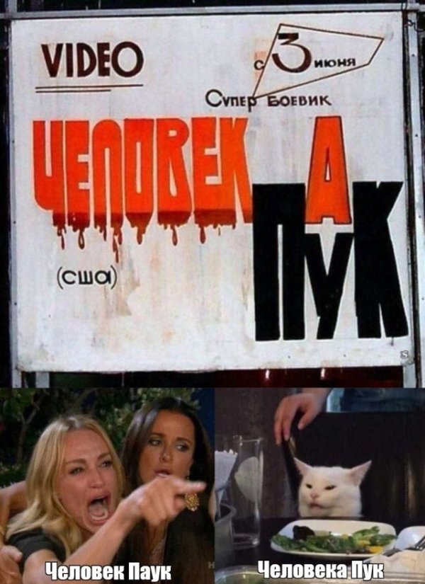 Кота не переубедить