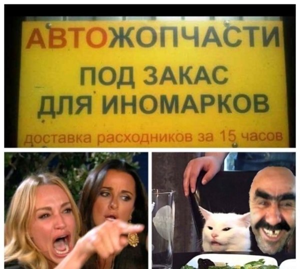 Кота не переубедить