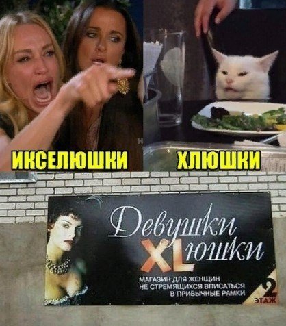 Кота не переубедить