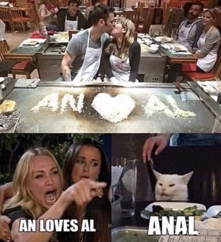 Кота не переубедить