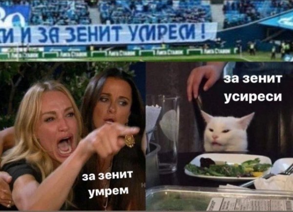 Кота не переубедить