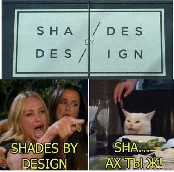 Кота не переубедить