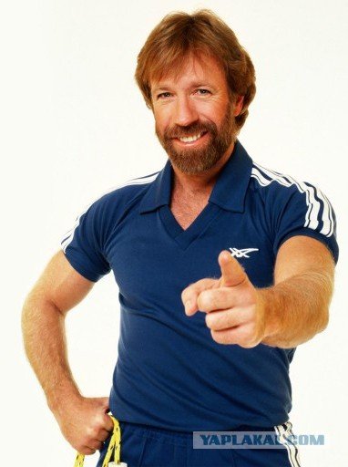 Кота не переубедить