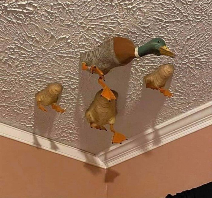 Тут явно происходит что-то очень странное! Тут явно происходит что-то очень странное!