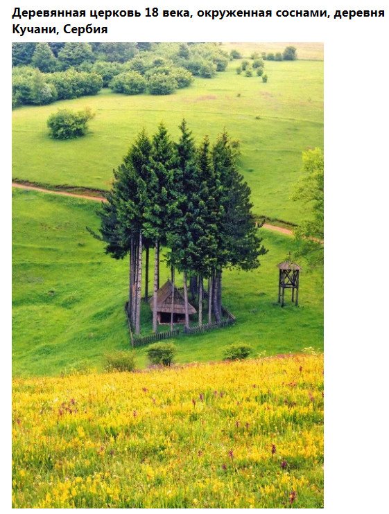 Фото-винегрет