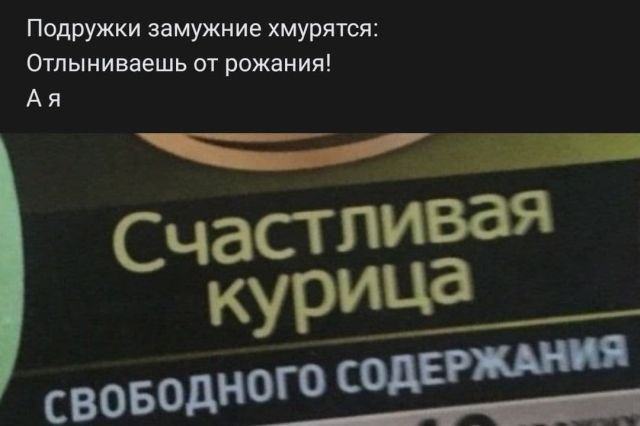 стих про курицу