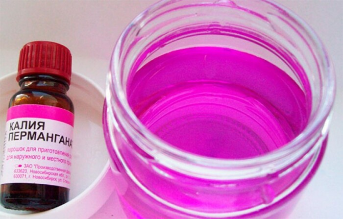 Перед высадкой в грунт ростки следует поместить в слабый раствор марганцовки / Фото: silazdorovya.ru