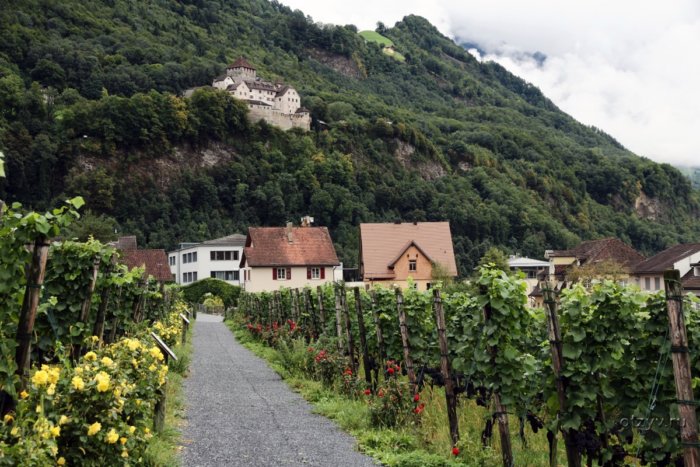 Очень богатая страна в которой нет ни своей валюты, ни своего языка