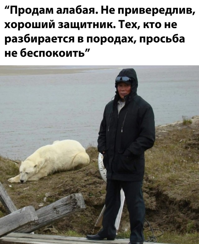 Смешные фото вечер 9 февраля 2021