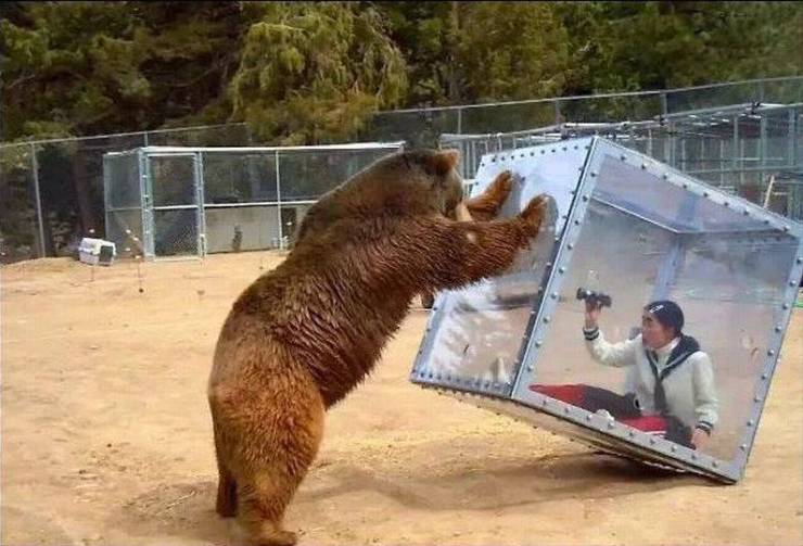 Смешные картинки вечер 10 февраля 2021