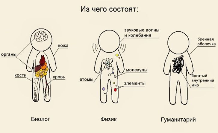 О чем шутят ученые