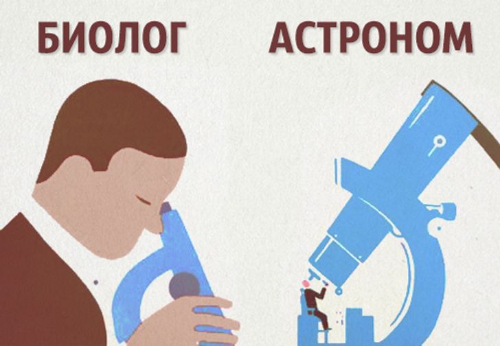 О чем шутят ученые