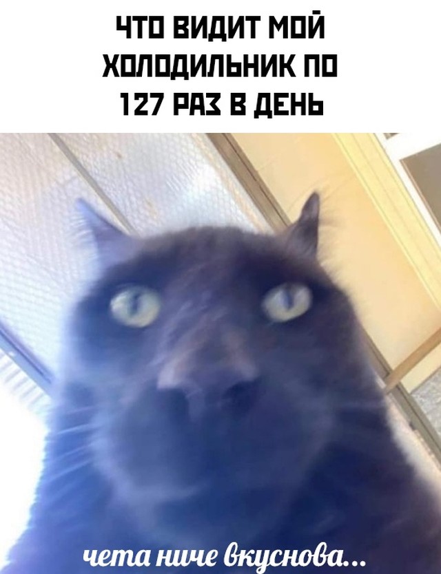 Смешные картинки вечер 12 февраля 2021