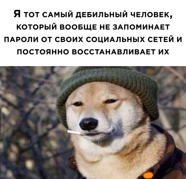 Смешные картинки вечер 12 февраля 2021
