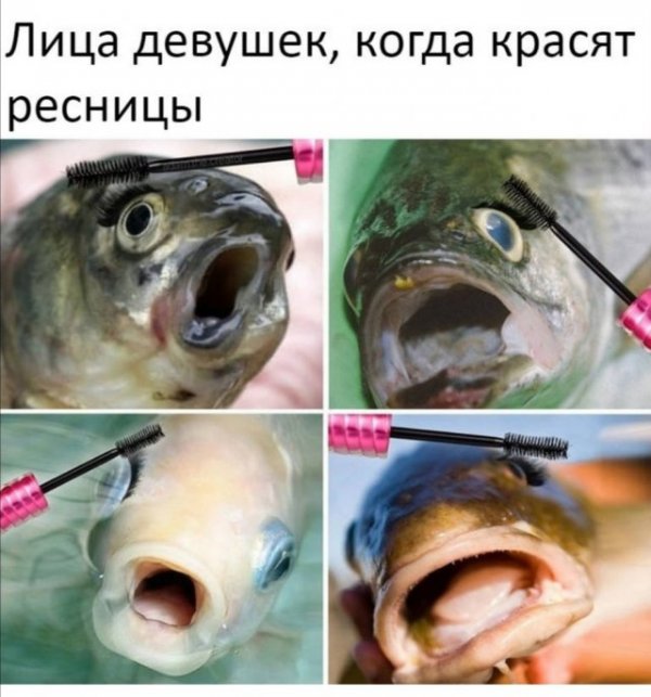 Картинки разнообразные