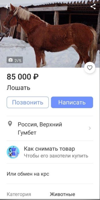 Хужеилось снок шебательно, какилось без проса и рыпок Хужеилось снок шебательно, какилось без проса и рыпок