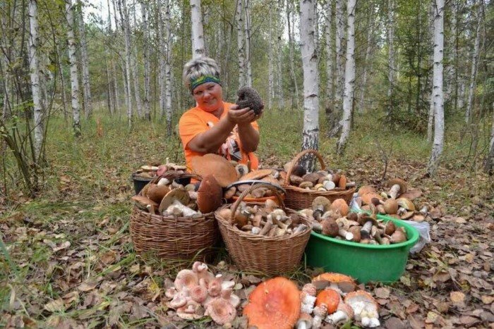 Зачем людям нужны грибы? Только для одного...
