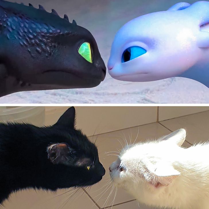 20+ занятных совпадений, после которых невольно заподозришь Вселенную в хитром умысле