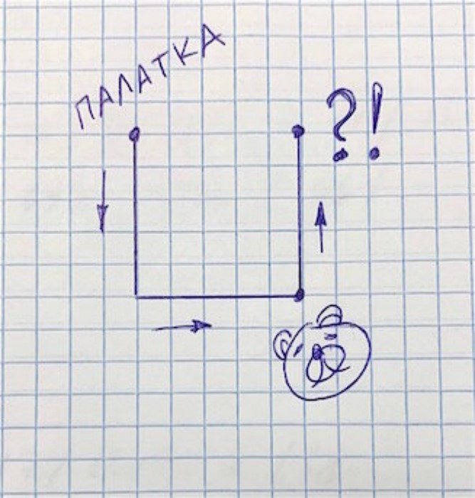 Геометрическая задача: какого цвета был медведь? Геометрическая задача: какого цвета был медведь?