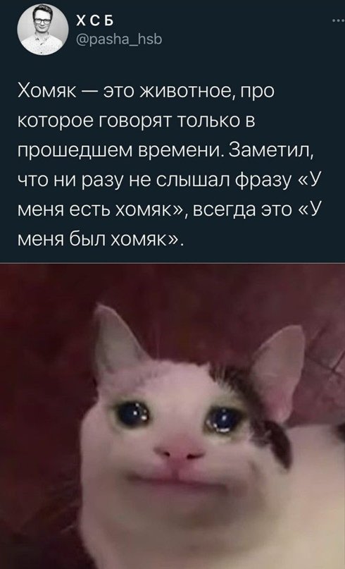 Картинки для настроения