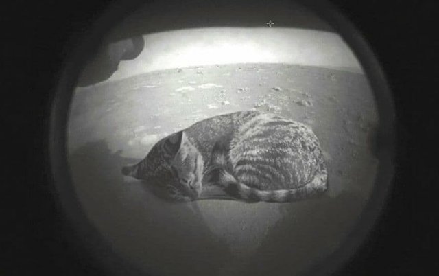 Лучшие шутки и приколы про первый снимок с Марса