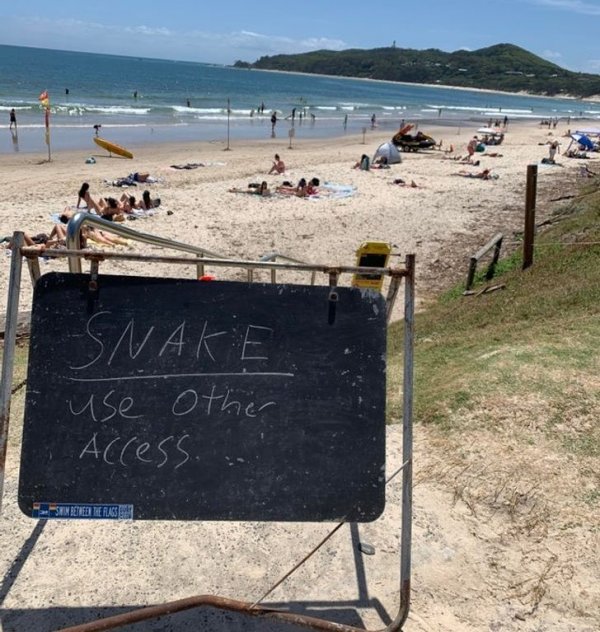 Жители Австралии показали с какой живностью им приходится соседствовать Жители Австралии показали с какой живностью им приходится соседствовать