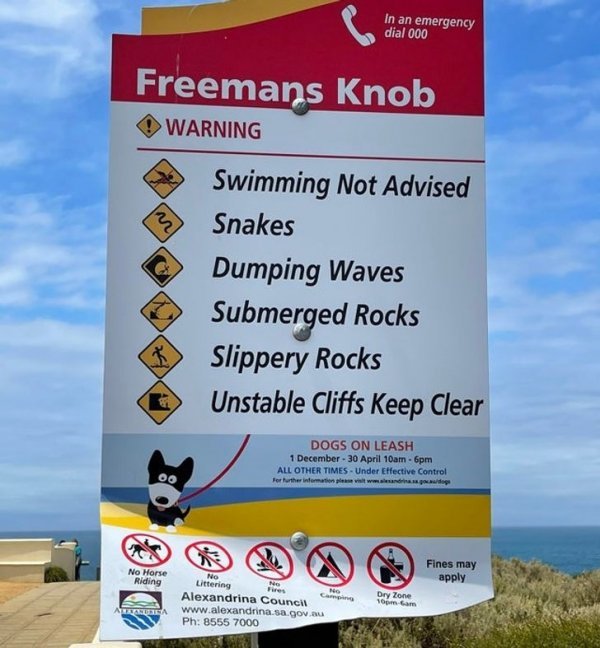 Жители Австралии показали с какой живностью им приходится соседствовать Жители Австралии показали с какой живностью им приходится соседствовать