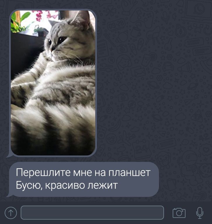 19 доказательств того, что тещи и свекрови — самые непредсказуемые члены семьи