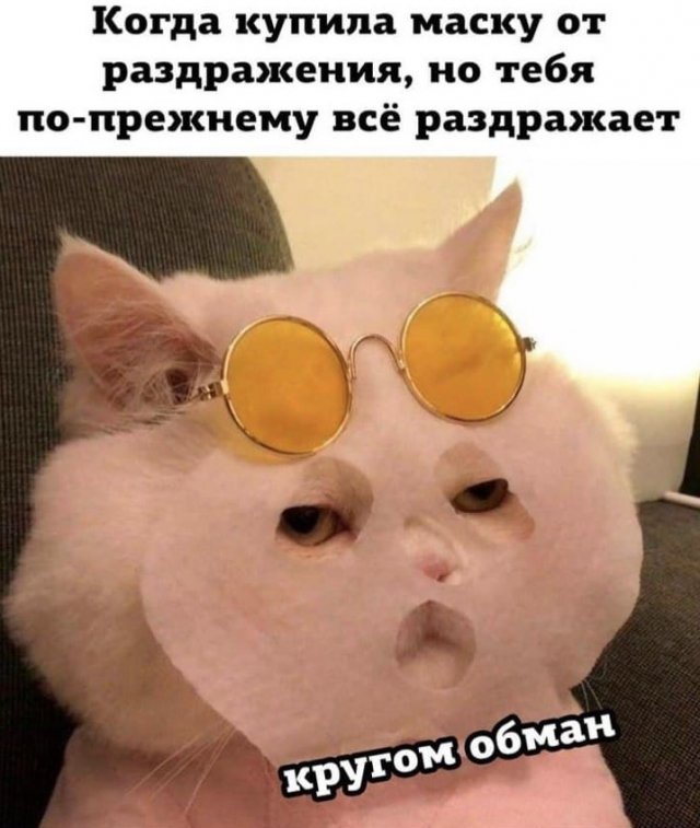 Шутки и мемы из Сети